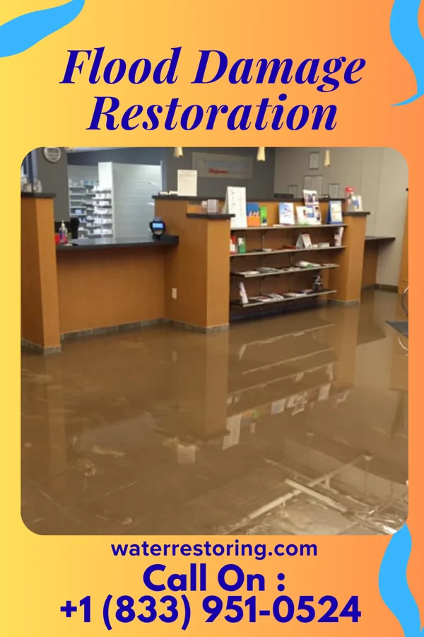 Flood Damage Restoration in Emerson, NJ