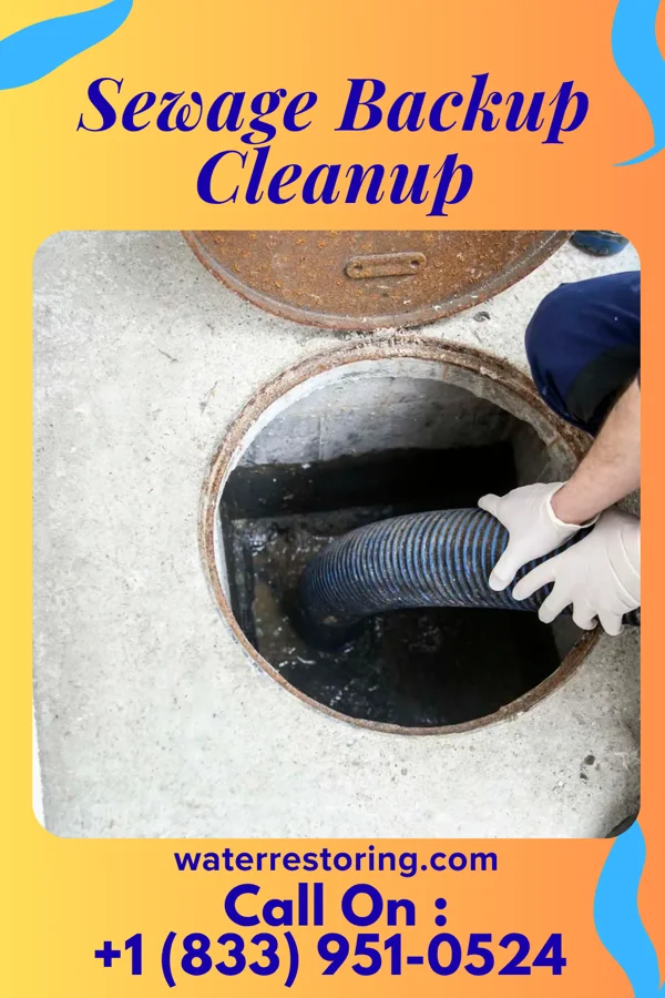 Sewage Backup Cleanup in Emerson, NJ