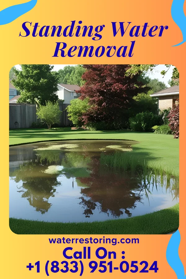 Standing Water Removal in Emerson, NJ